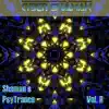 Cyber Shaman - Shaman's PsyTrance Vol. II